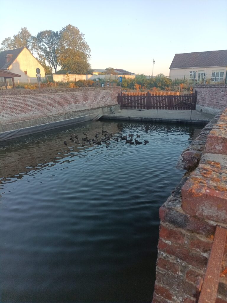 Par les chaleurs du jour, je piquerais bien un plongeon mais ...